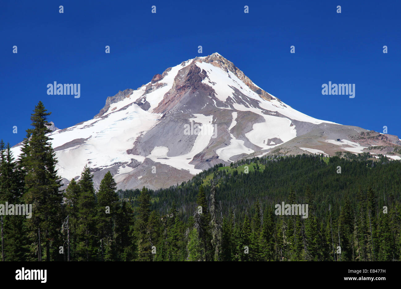 Mount Hood in Oregon Stockfoto