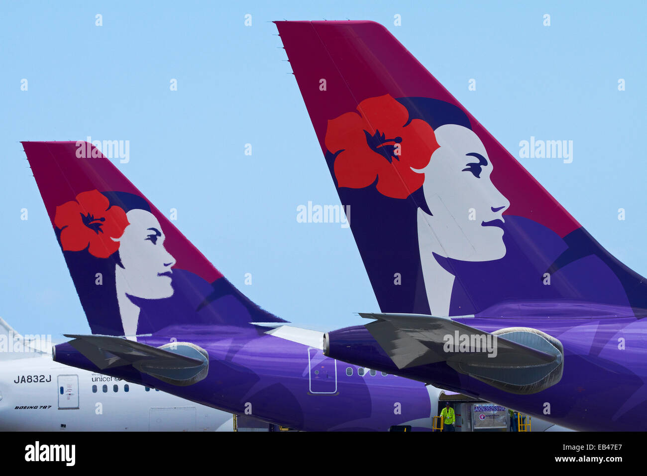Tails der Hawaiian Airlines Flugzeuge, Honolulu International Airport, Honolulu, Oahu, Hawaii, USA Stockfoto