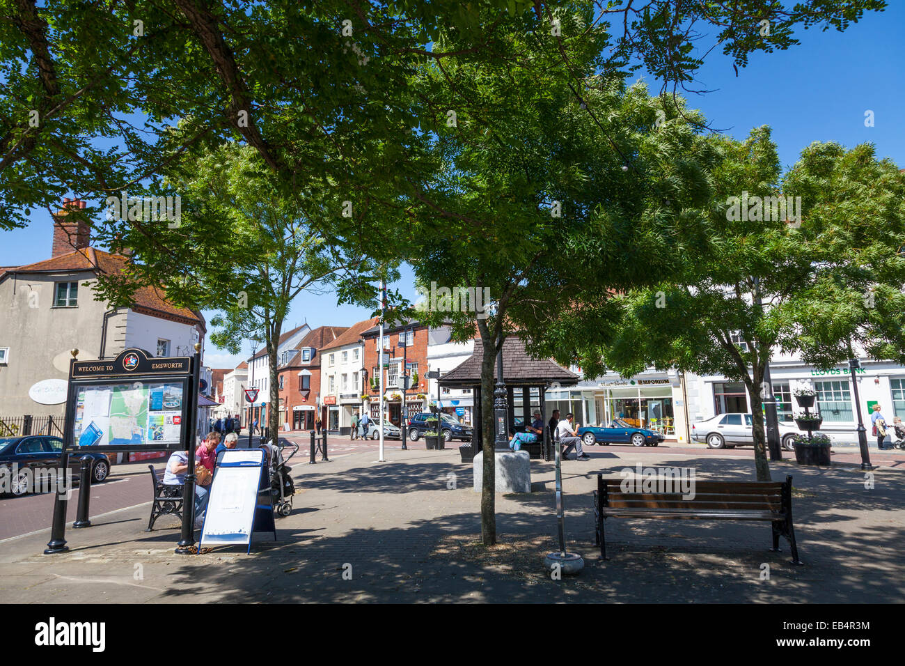 Bäume in Emsworth Dorfplatz im Sonnenschein Stockfoto