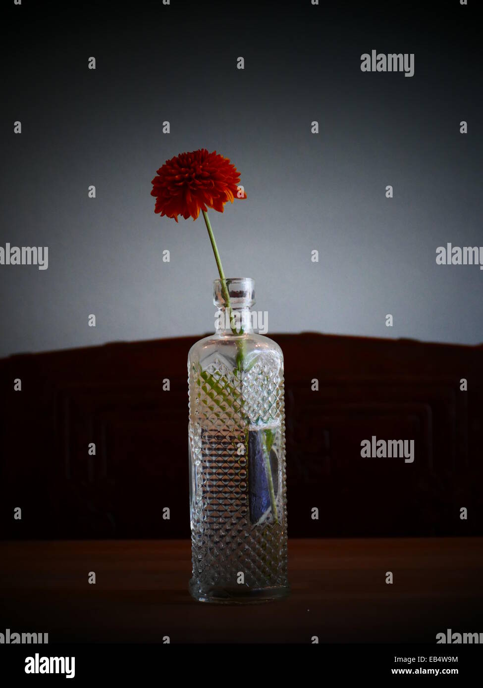 Dekorative Blume in Glasvase Flasche Stockfoto