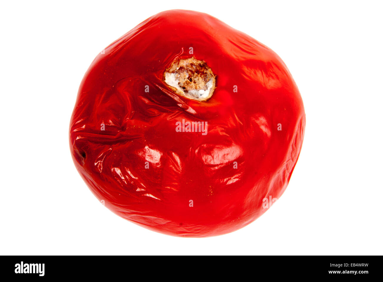 Faule Tomaten auf dem weißen Hintergrund Stockfoto