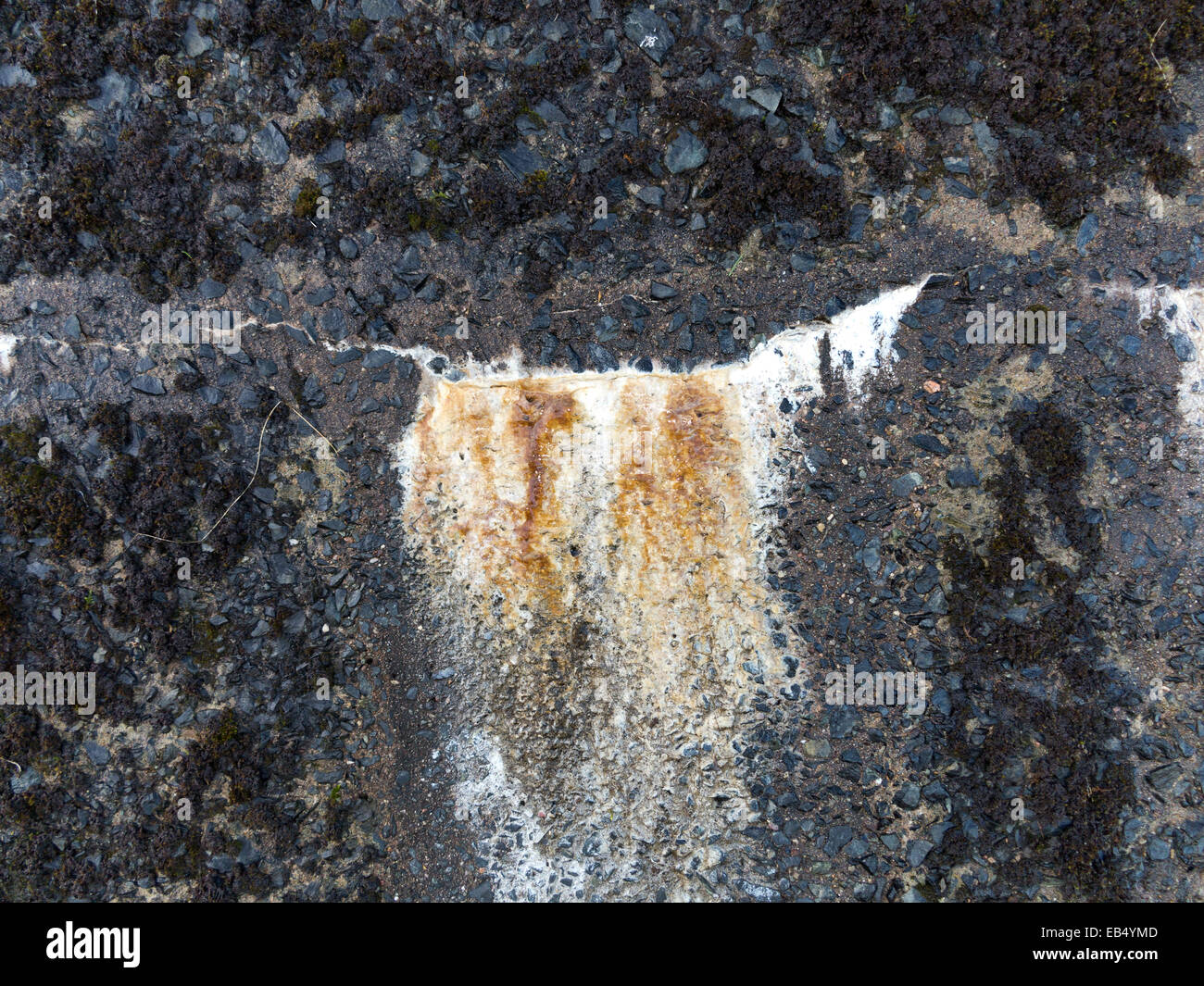 Sekundäre Ausblühungen in einer Betonkonstruktion mit Kalzium aufbauen Stockfoto