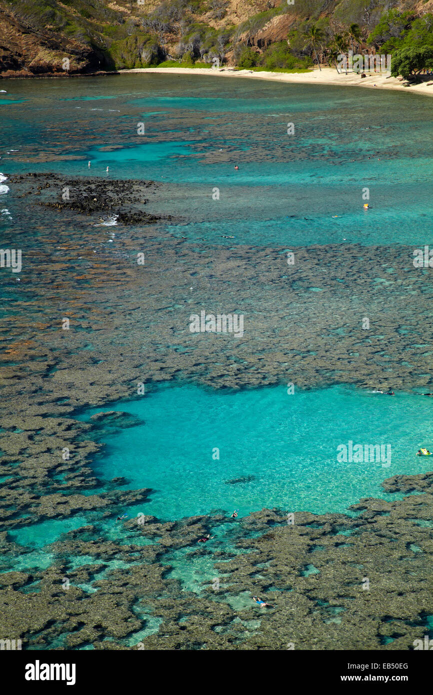 Leute Schnorcheln unter Korallenriff bei Hanauma Bay Nature Preserve, Oahu, Hawaii, USA Stockfoto