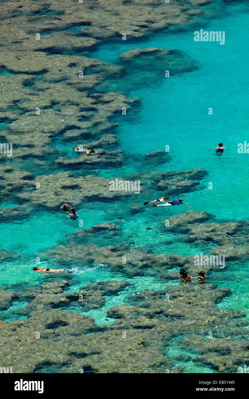 Leute Schnorcheln unter Korallenriff bei Hanauma Bay Nature Preserve, Oahu, Hawaii, USA Stockfoto