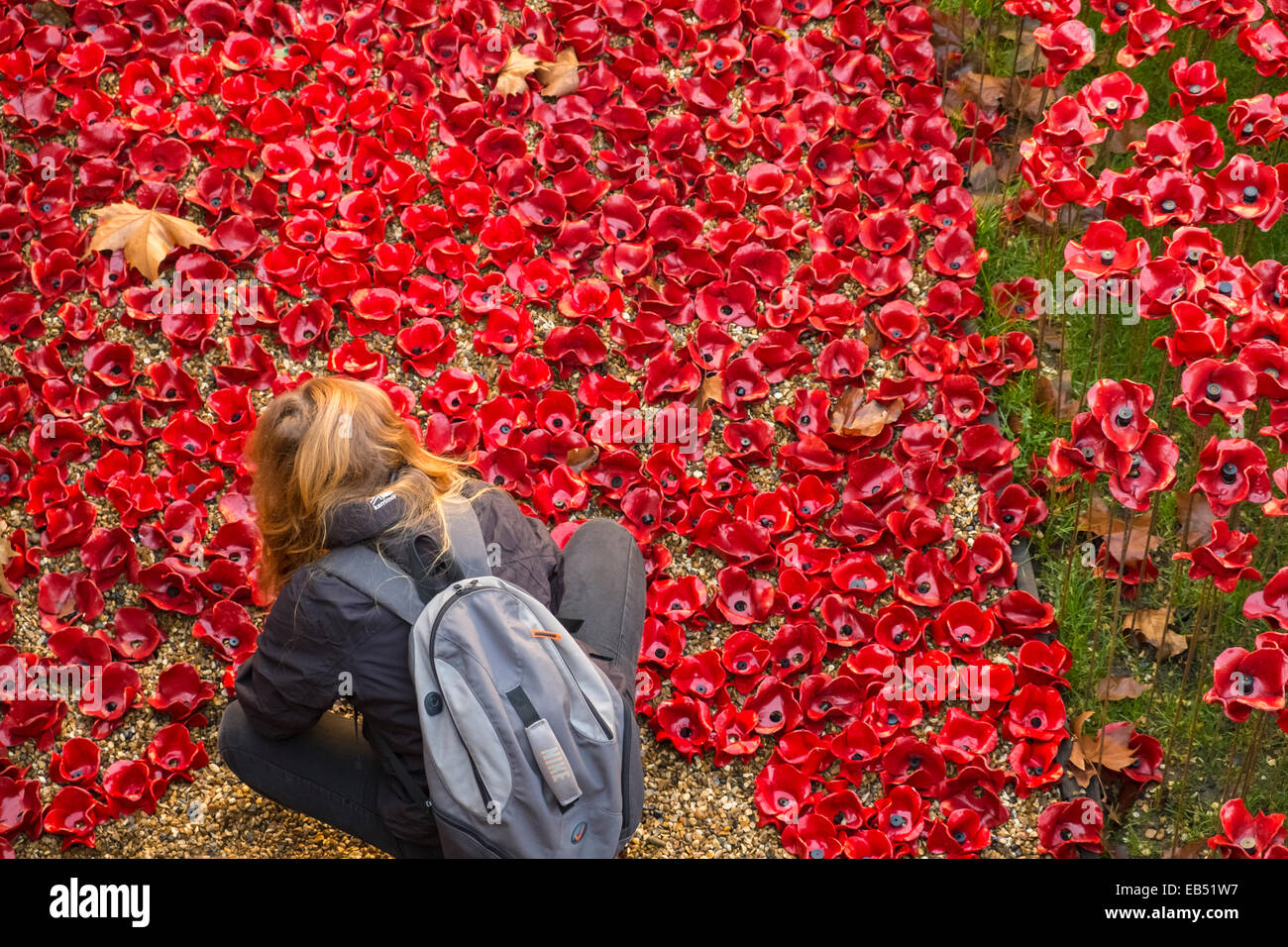 Freiwillige entfernende Rembrance Day Mohn aus dem Tower of London Display, 2014, London, England UK Stockfoto