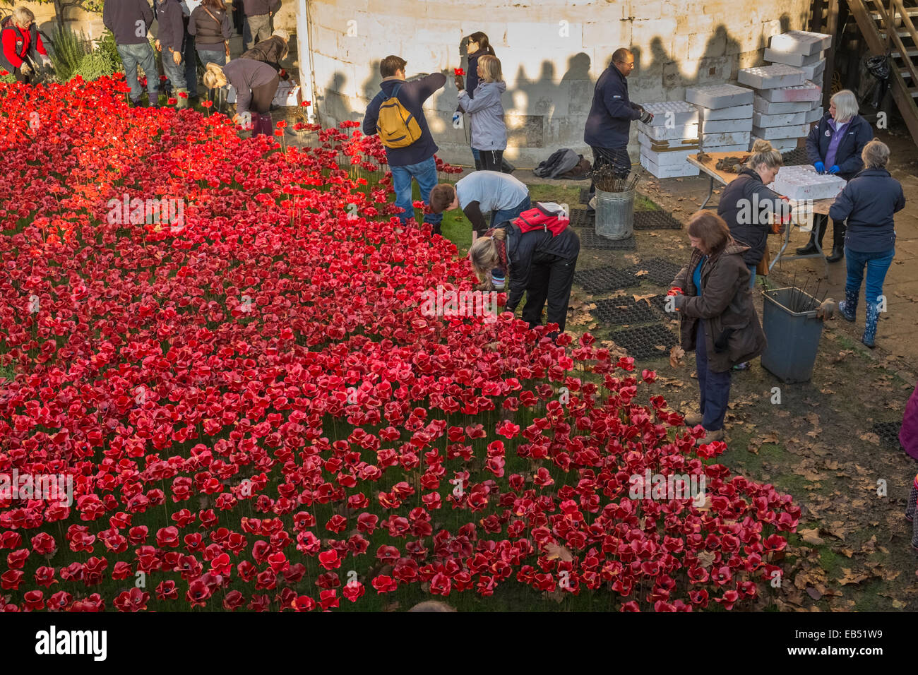 Freiwillige Rembrance Day Mohn aus dem Tower of London Display, 2014, London, England UK entfernen Stockfoto