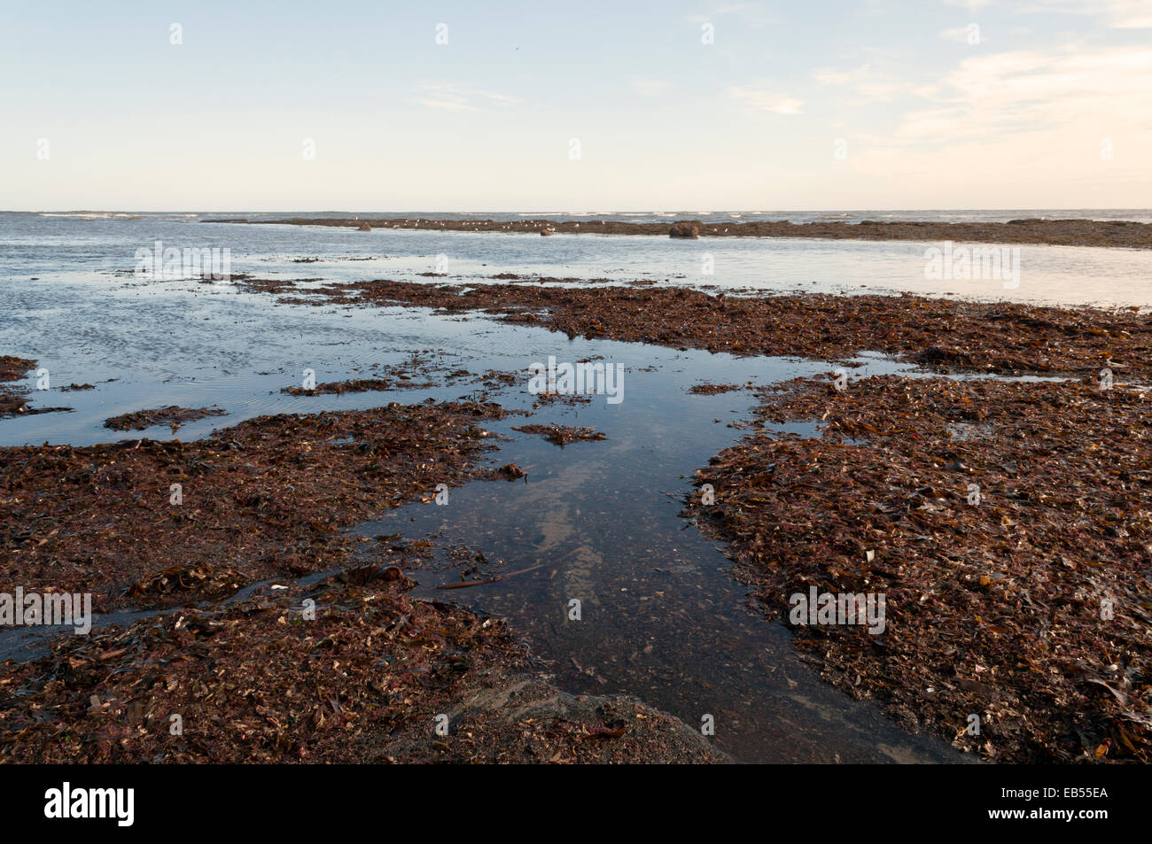 Robin Hoods Bay Stockfoto