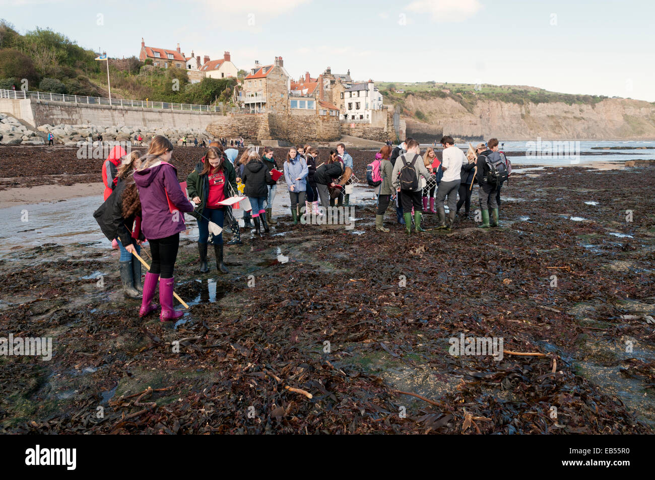 Robin Hoods Bay Studenten erkunden, Fels-pools Stockfoto