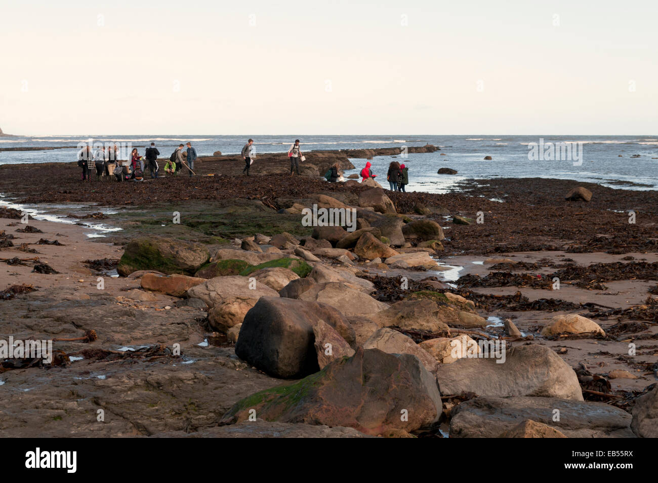 Robin Hoods Bay Studenten erkunden, Fels-pools Stockfoto