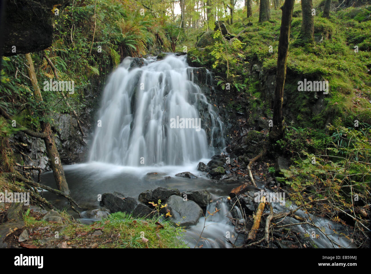 Tom Gill Wasser fällt Tarn Hows Lake District 2014 Stockfoto