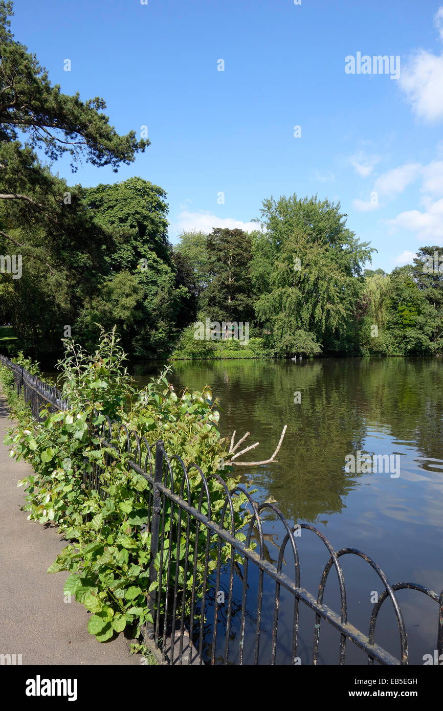Heide Pool, Mary Stevens Park, Stourbridge, West Midlands, England, Großbritannien Stockfoto