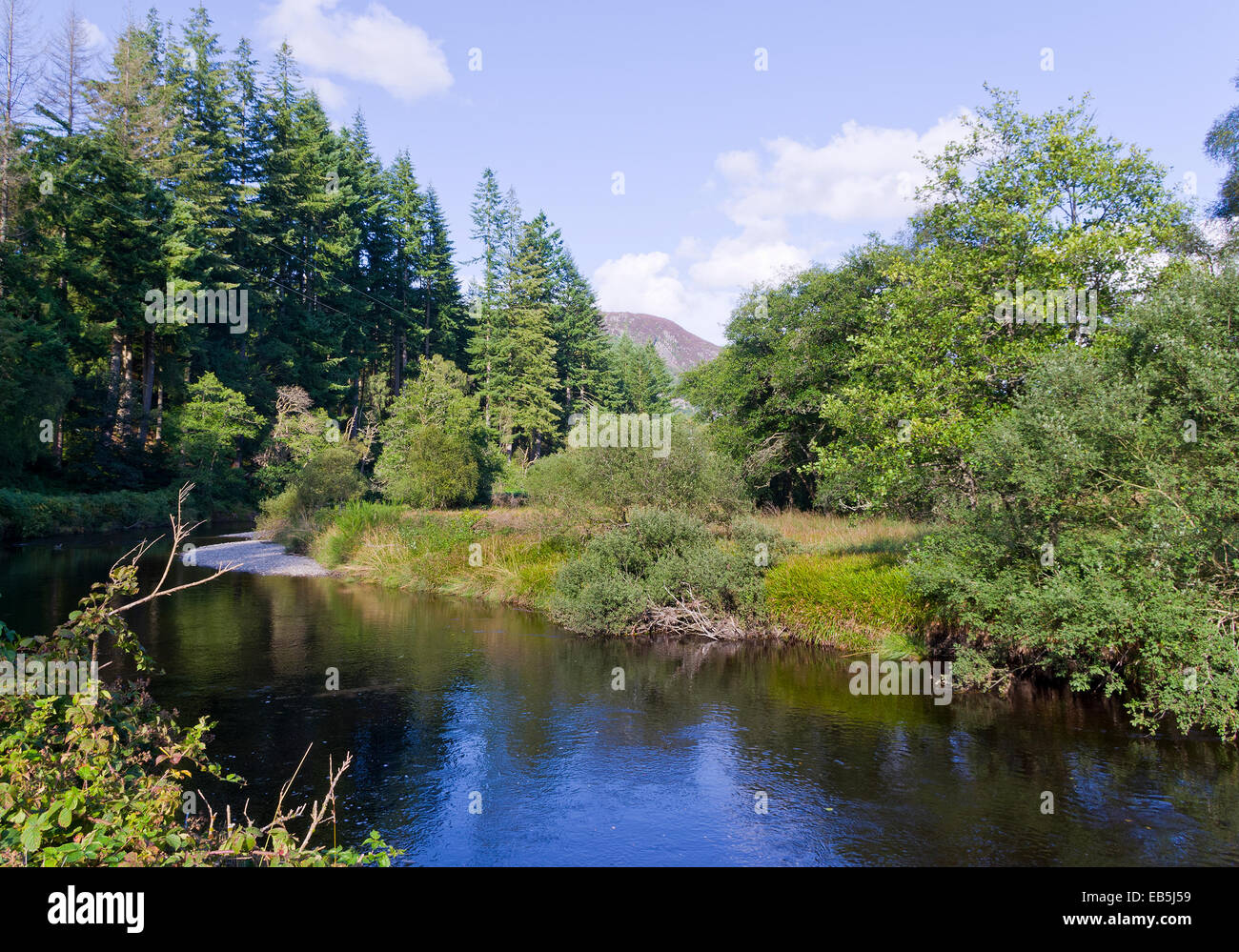 Duchray Wasser, Dalzell Holz, Queen Elizabeth Forest Park, Trossachs, Stirlingshire, Schottland, UK Stockfoto