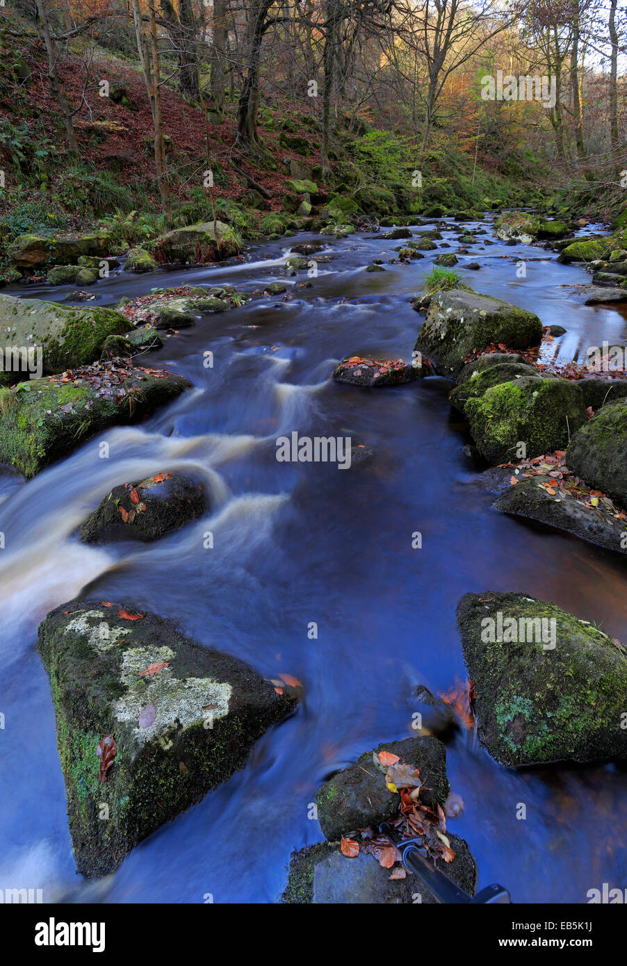 Hebden Beck, Hardcastle Klippen, West Yorkshire, England, Vereinigtes Königreich. Stockfoto