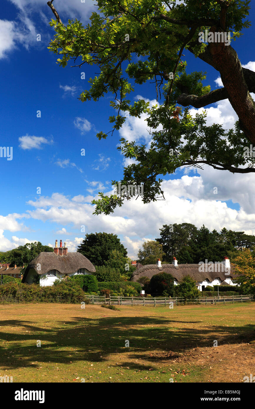 Sommer, weißen Cottages in Lyndhurst Stadt, New Forest National Park; Hampshire County; England; Großbritannien, UK Stockfoto