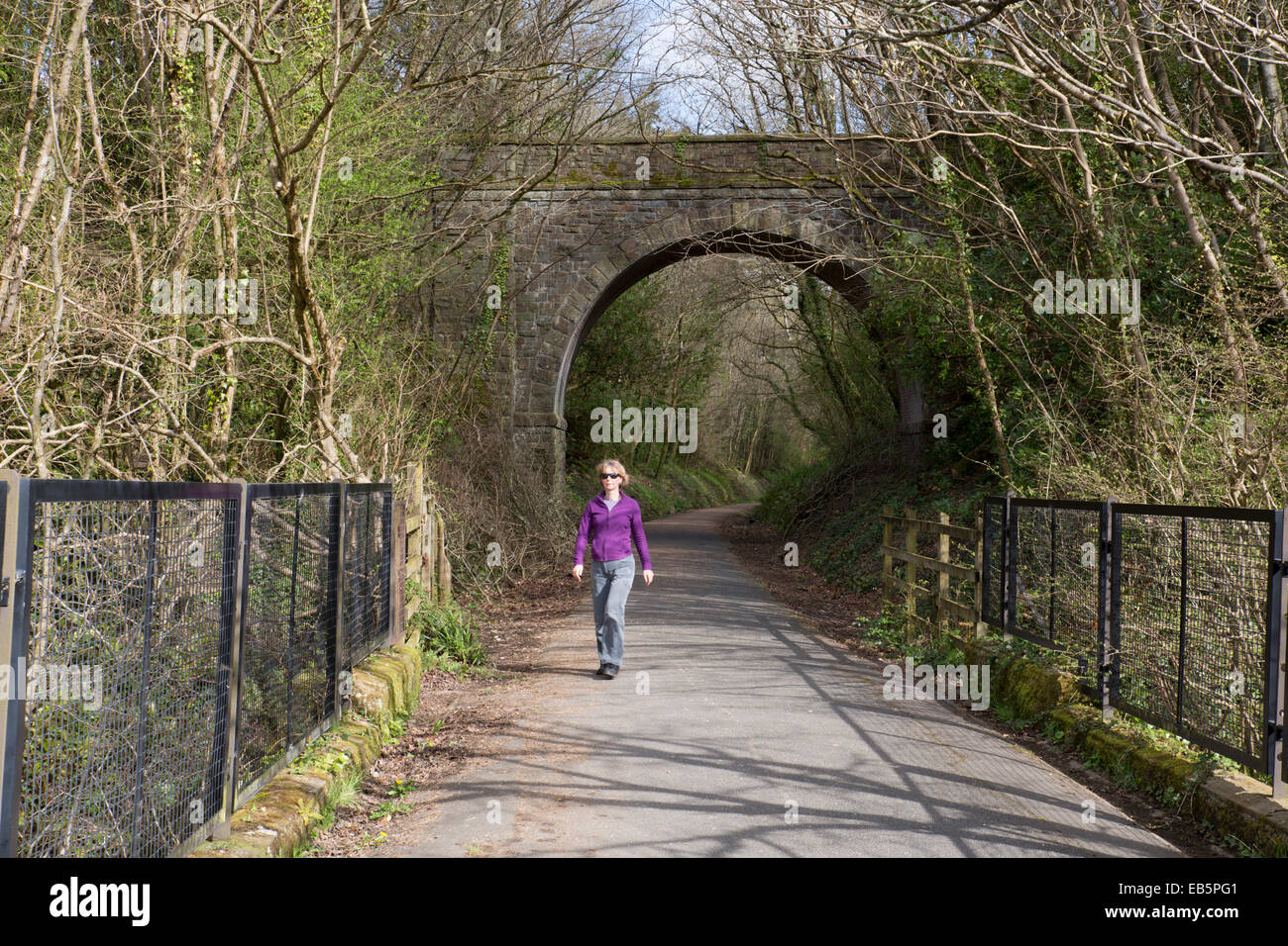Tarka Trail; NearTorrington; Devon; UK Stockfoto