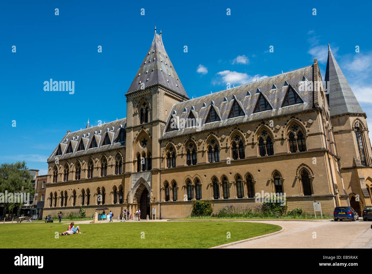 Die Oxford University Museum of Natural History ist ein Museum der University of Oxford Naturgeschichte Exemplare Stockfoto