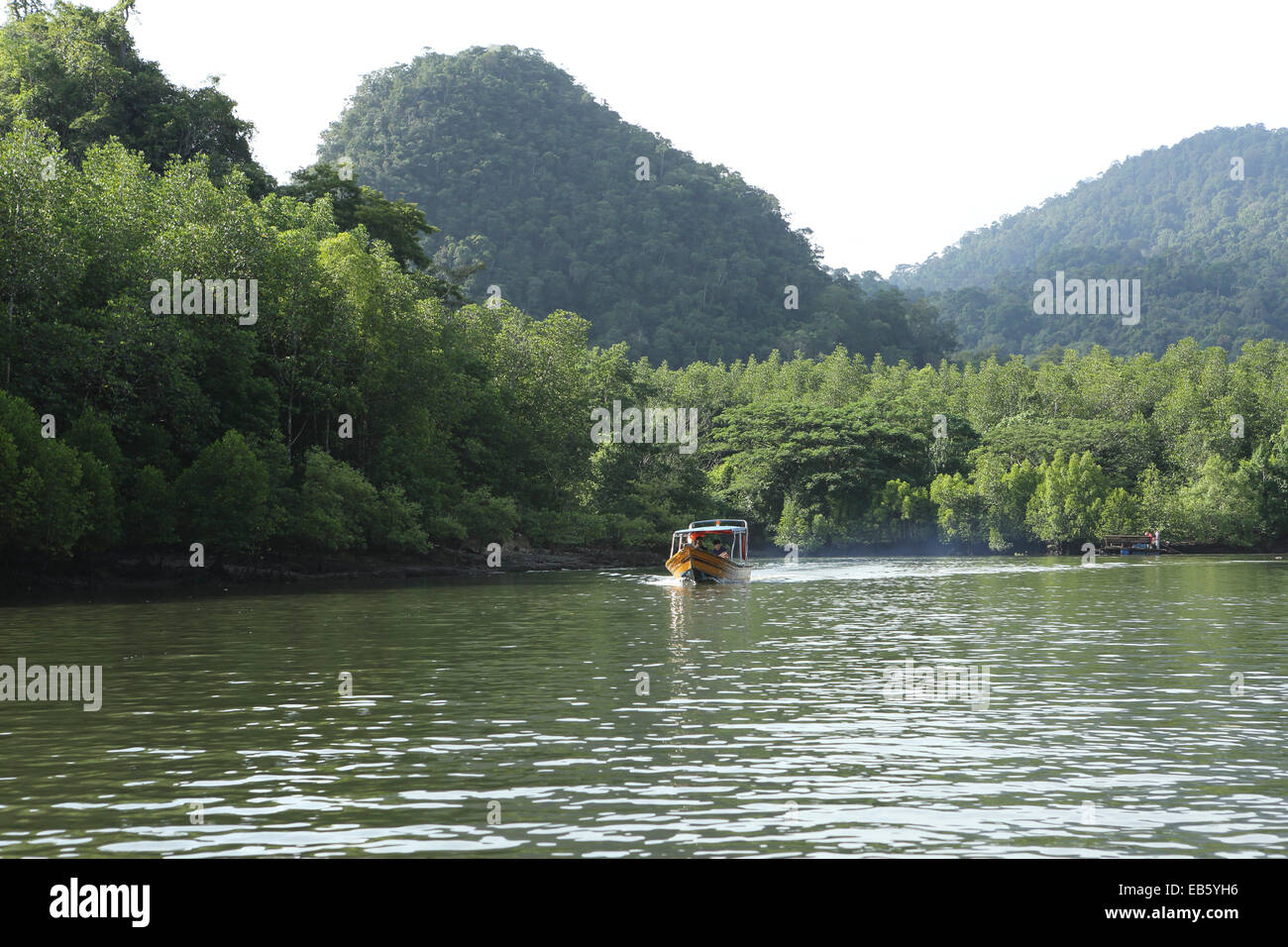 Ein Boot in Kelim Karst Geoforest Park auf Langkawi, Malaysia. Stockfoto