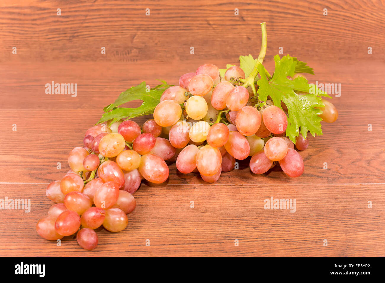 Weintraube mit einem großen rosa Trauben Stockfoto