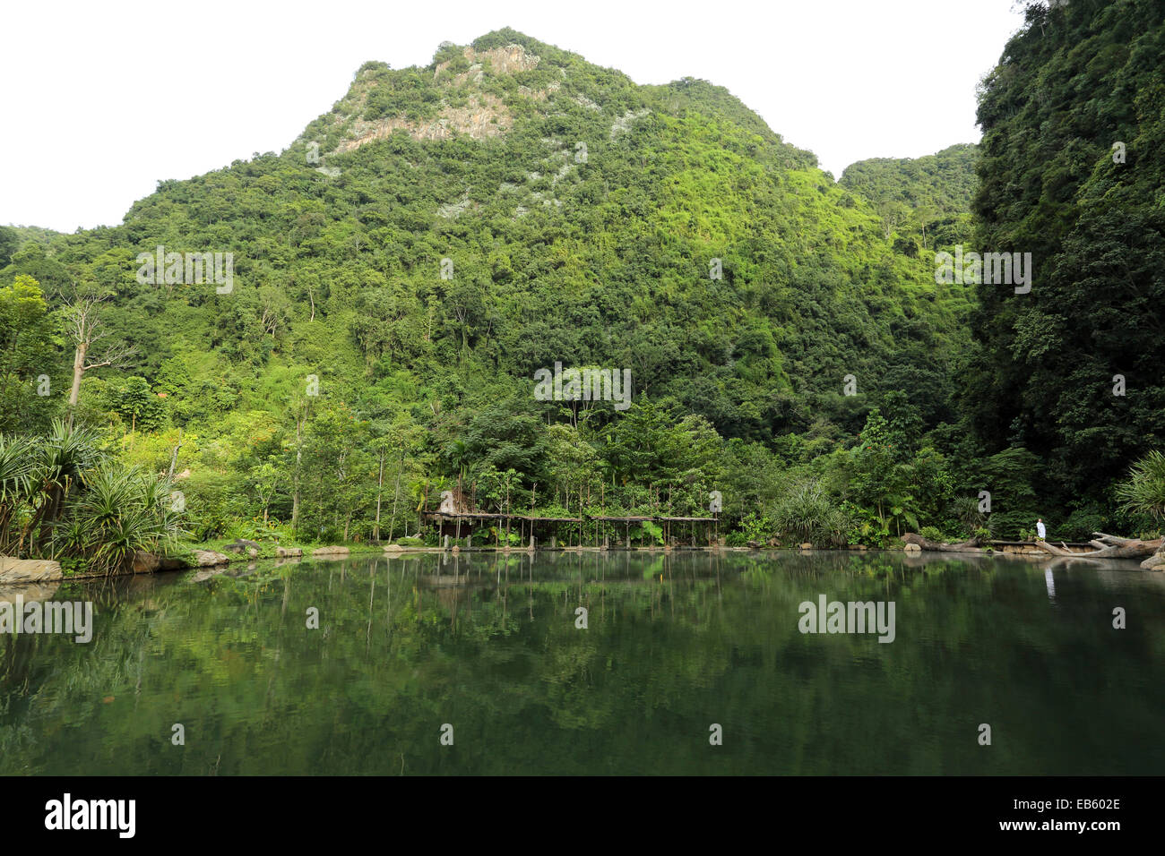 Ein natürlich beheizten Pool auf dem Banjaran Hotspring Rückzug in der Nähe von Ipoh, Malaysia. Stockfoto