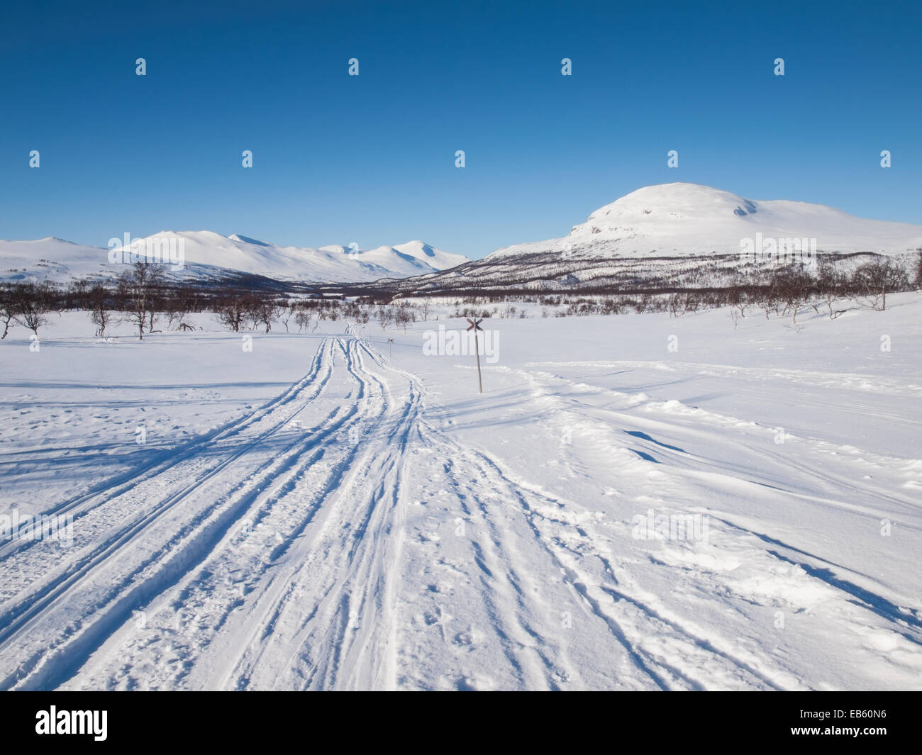 Loipen entlang der markierten Strecke durch nordischen Winterberge Stockfoto