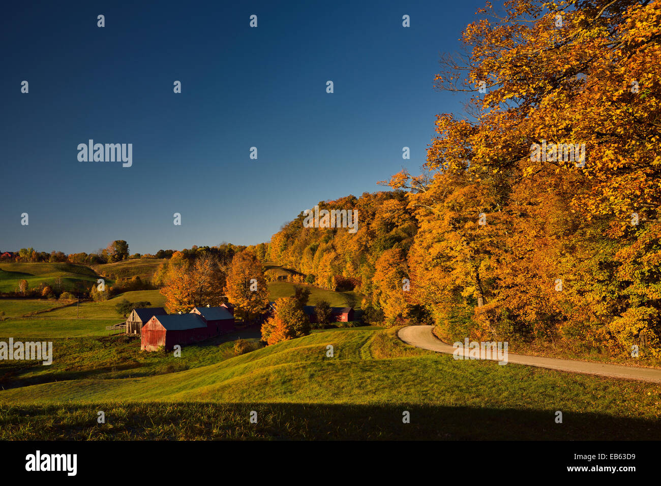 Jenne Farm in Vermont USA Lesung mit Bäumen in bunten Herbstfarben im Morgengrauen Sonnenlicht mit orange Ahornbäume Stockfoto