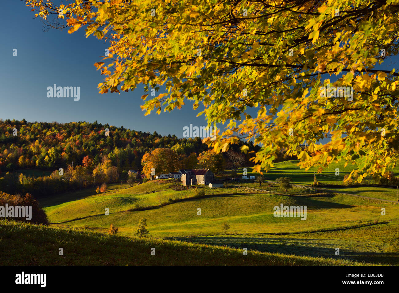 Herbst bei Sonnenaufgang mit Feldern von Jenne Farm Lesung Vermont USA mit Bäumen in bunten Herbstfarben Stockfoto