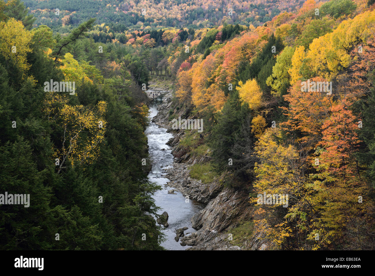 Farben des Herbstes am Fluss Ottauquechee an Quechee Gorge Vermont Stockfoto