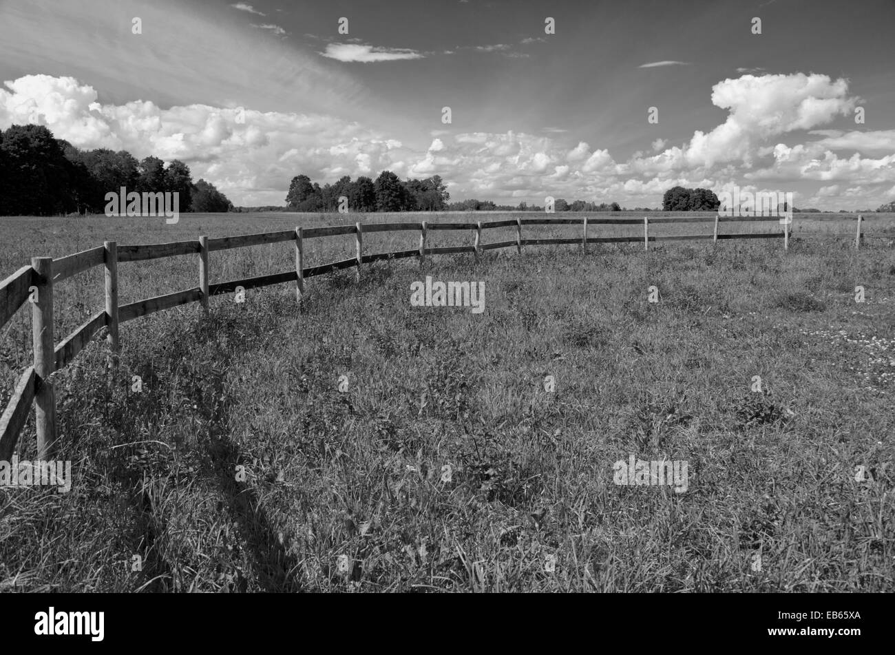 ländliche Landschaft Ackerland Sommerwiese mit Holzzaun, B&W Bild Stockfoto