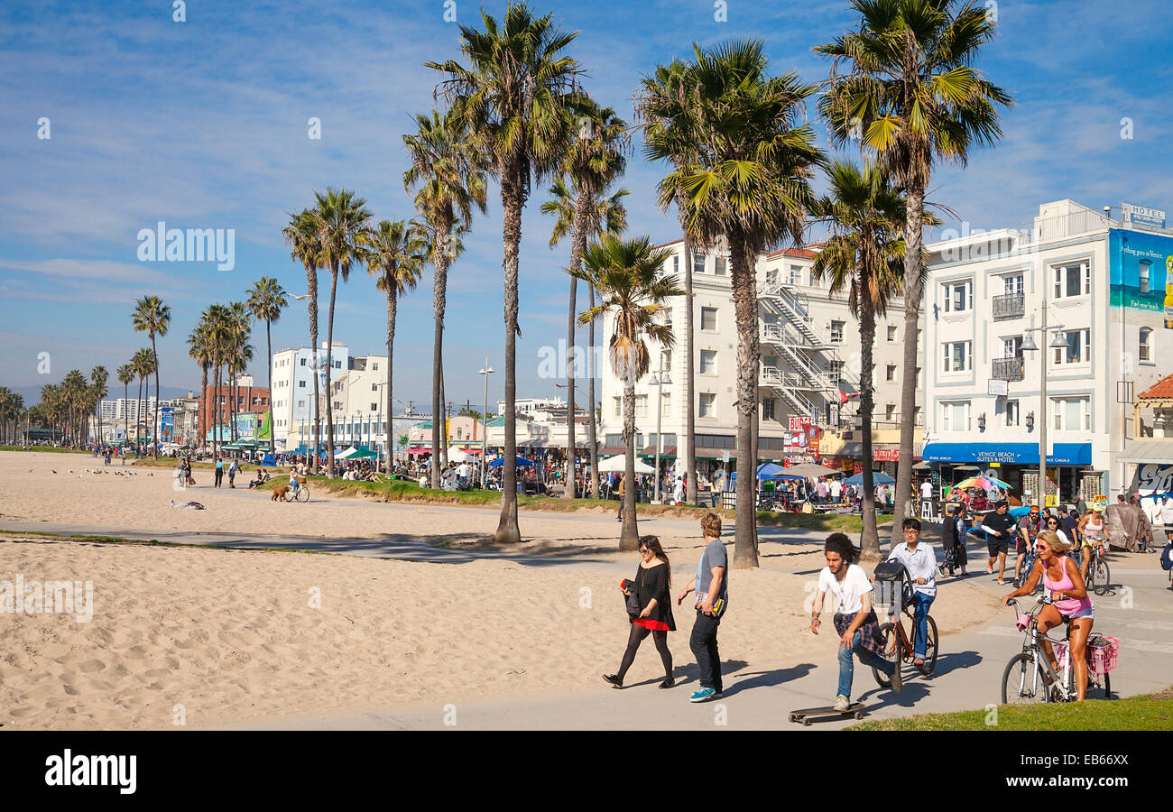 Touristen und einheimische Fahrradfahren entlang der berühmten Radweg Venice Beach, Los Angeles, Kalifornien, USA Stockfoto