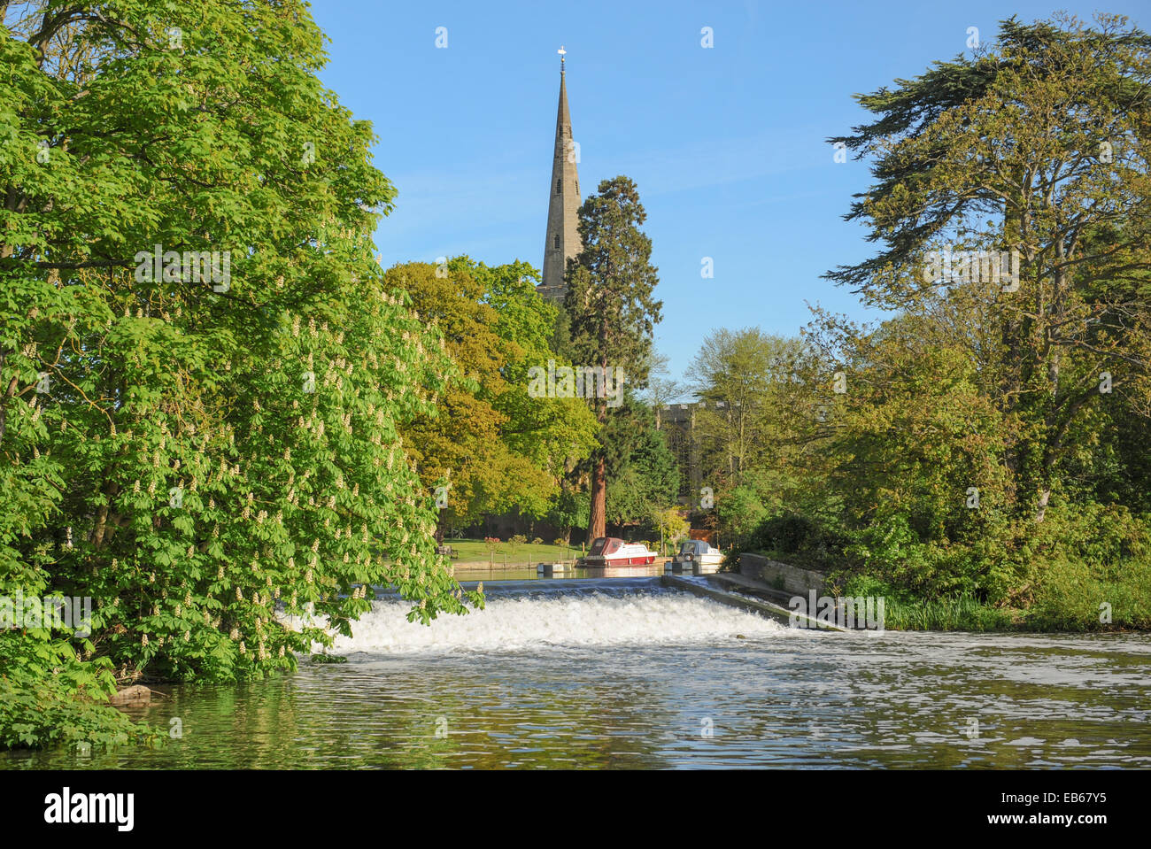 Lucy Mühle Wehr am Fluss Avon mit der Spire der Holy Trinity Church (Ruhestätte von William Shakespeare) im Hintergrund Stockfoto