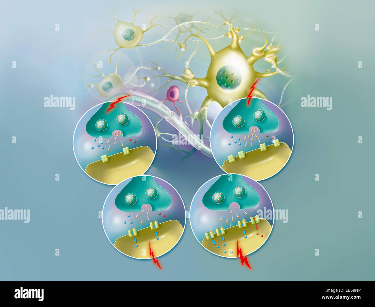 SYNAPSE-ILLUSTRATION Stockfoto