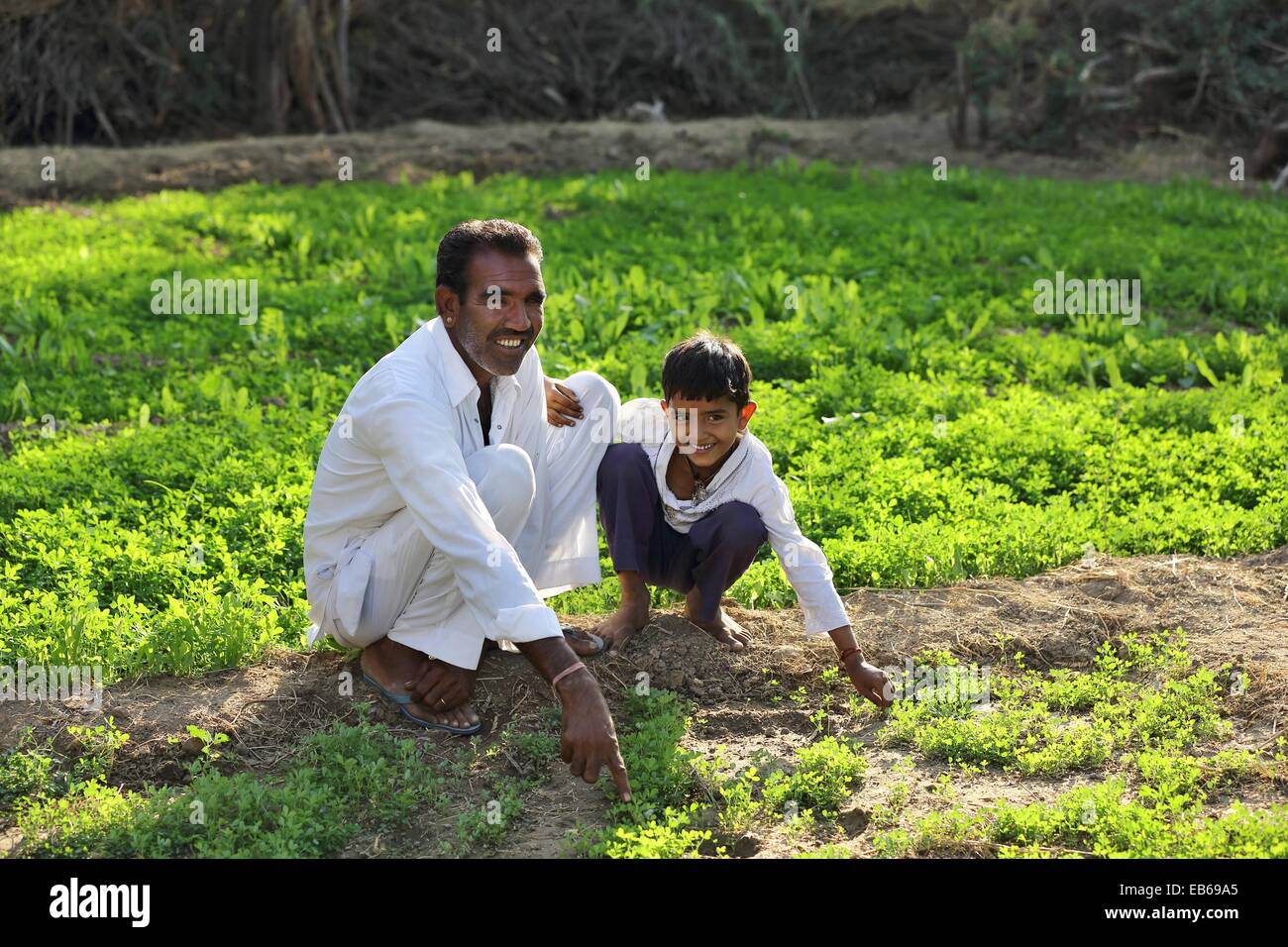 Indischer Mann mit Tochter zeigt seinen Garten Rajasthan Indien Stockfoto