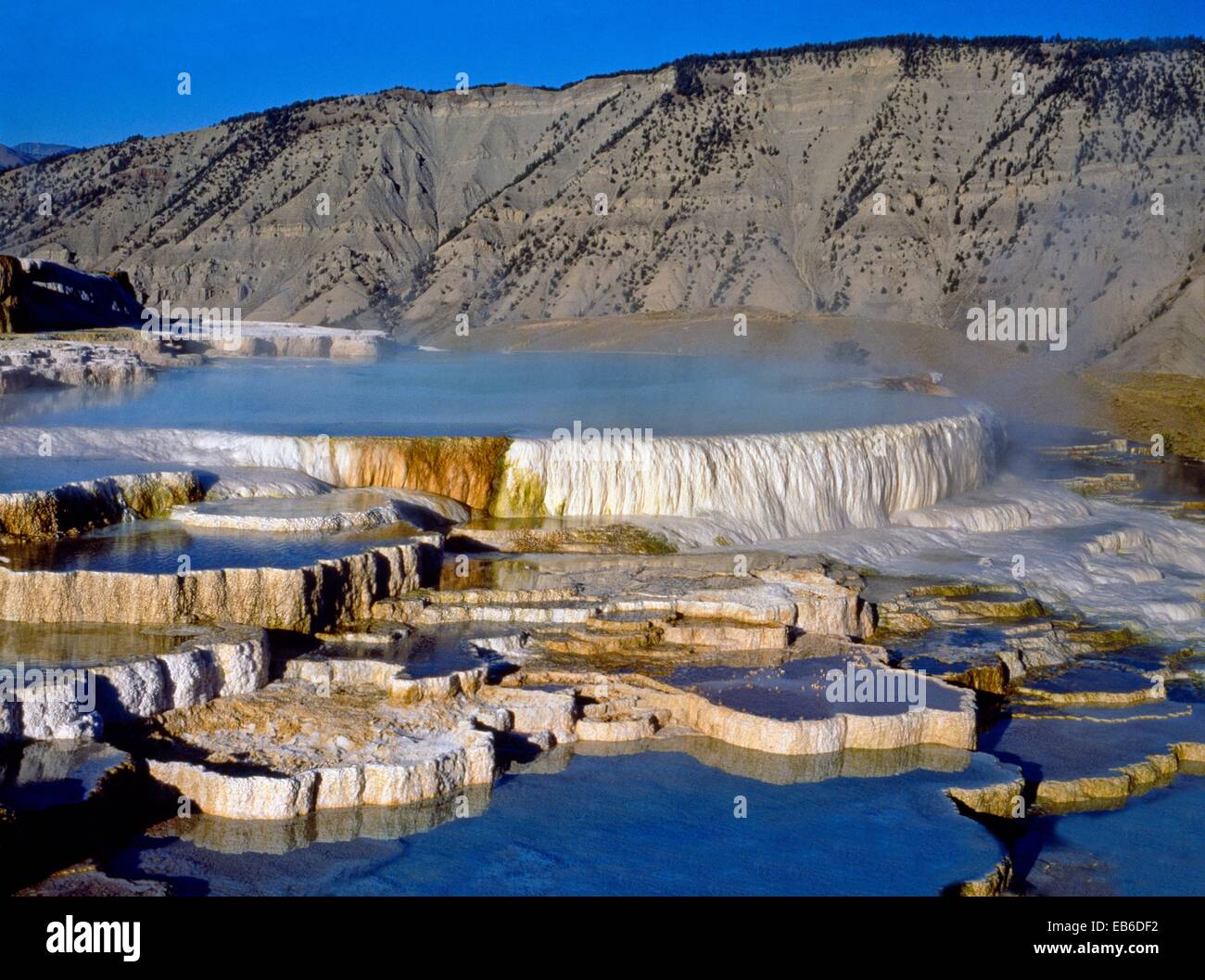 Mammoth Hot Springs Opal Terrasse Yellowstone Nationalpark Wyoming