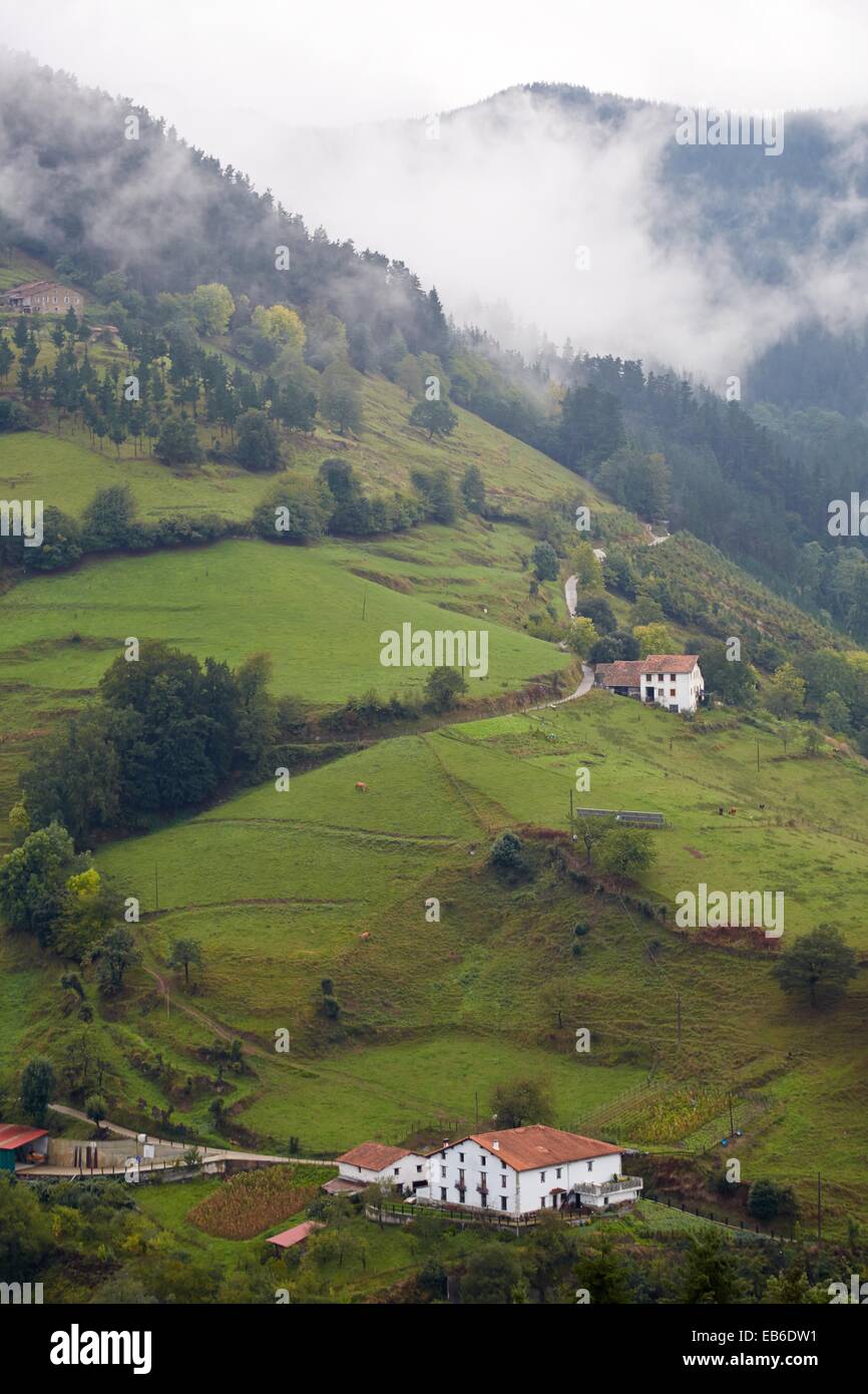 Bauernhäuser, Nebel, Eibar, Gipuzkoa, Baskisches Land, Spanien. Stockfoto