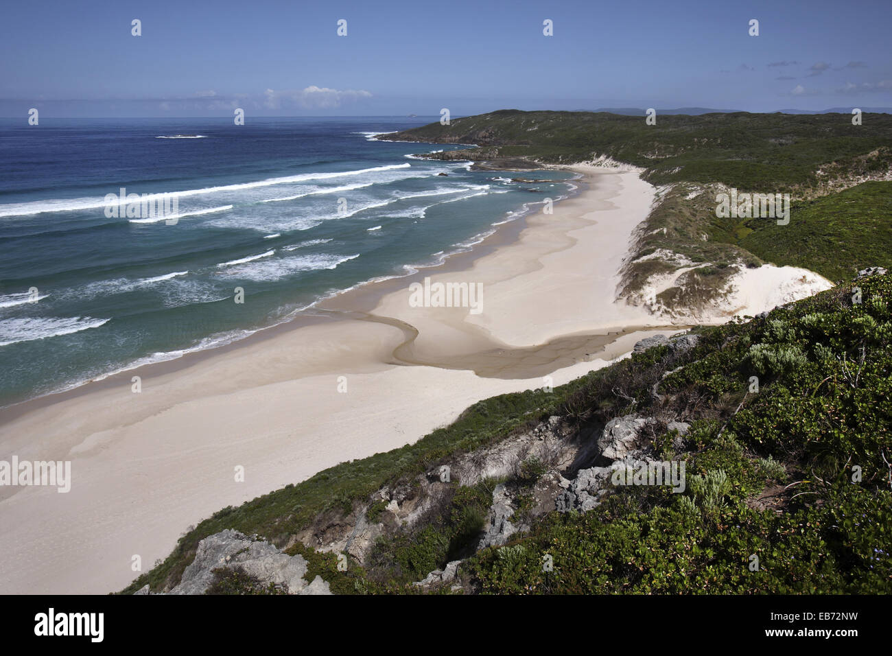Demonstrativen Strand in der Nähe von Dänemark. Südwesten Westaustralien. Stockfoto
