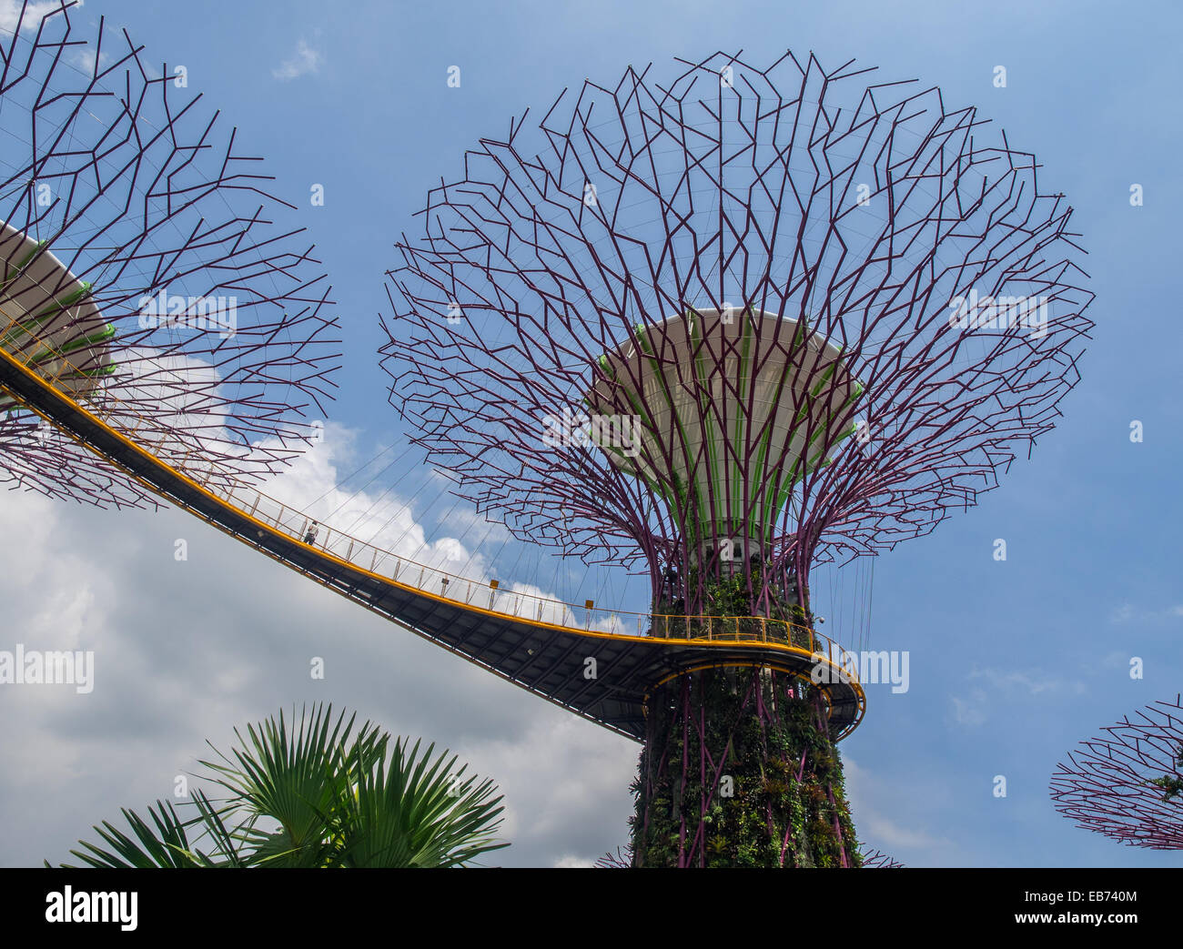 BaumSkulpturen im Garten an der Bucht, Singapur Stockfotografie Alamy