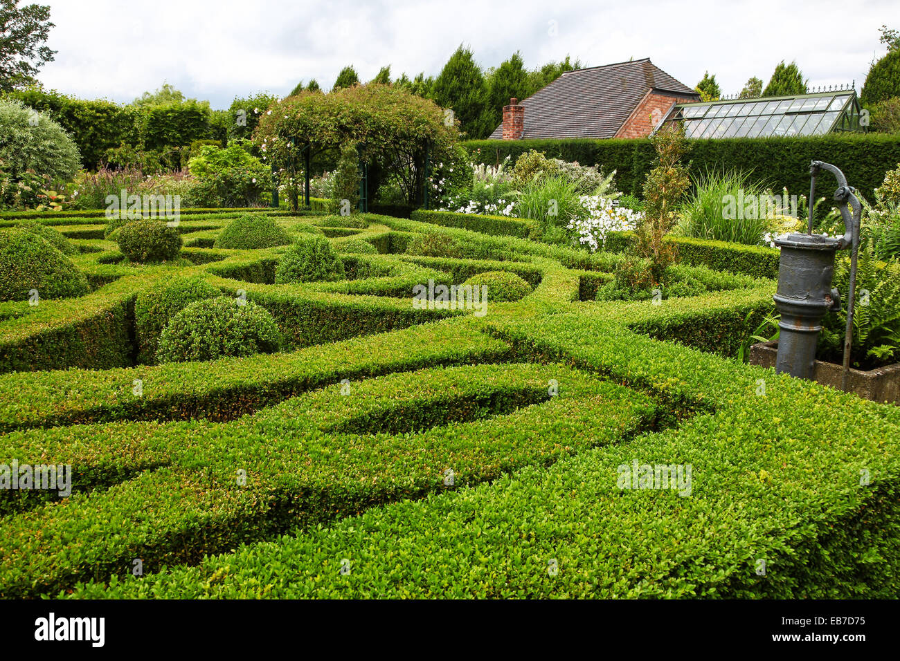 Topiary und Eibe Hecken in Wilkins Pleck Garten, Whitmore, Newcastle unter Lyme, Stoke on Trent, Staffordshire, England, Großbritannien Stockfoto