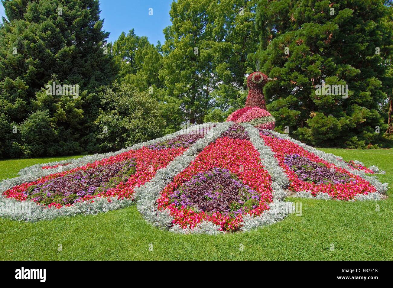 Blumen-Skulptur, Insel Mainau (Blumeninsel im Atlantik), Bodensee  (Bodensee), Baden-Württemberg, Deutschland, Europa Stockfotografie - Alamy