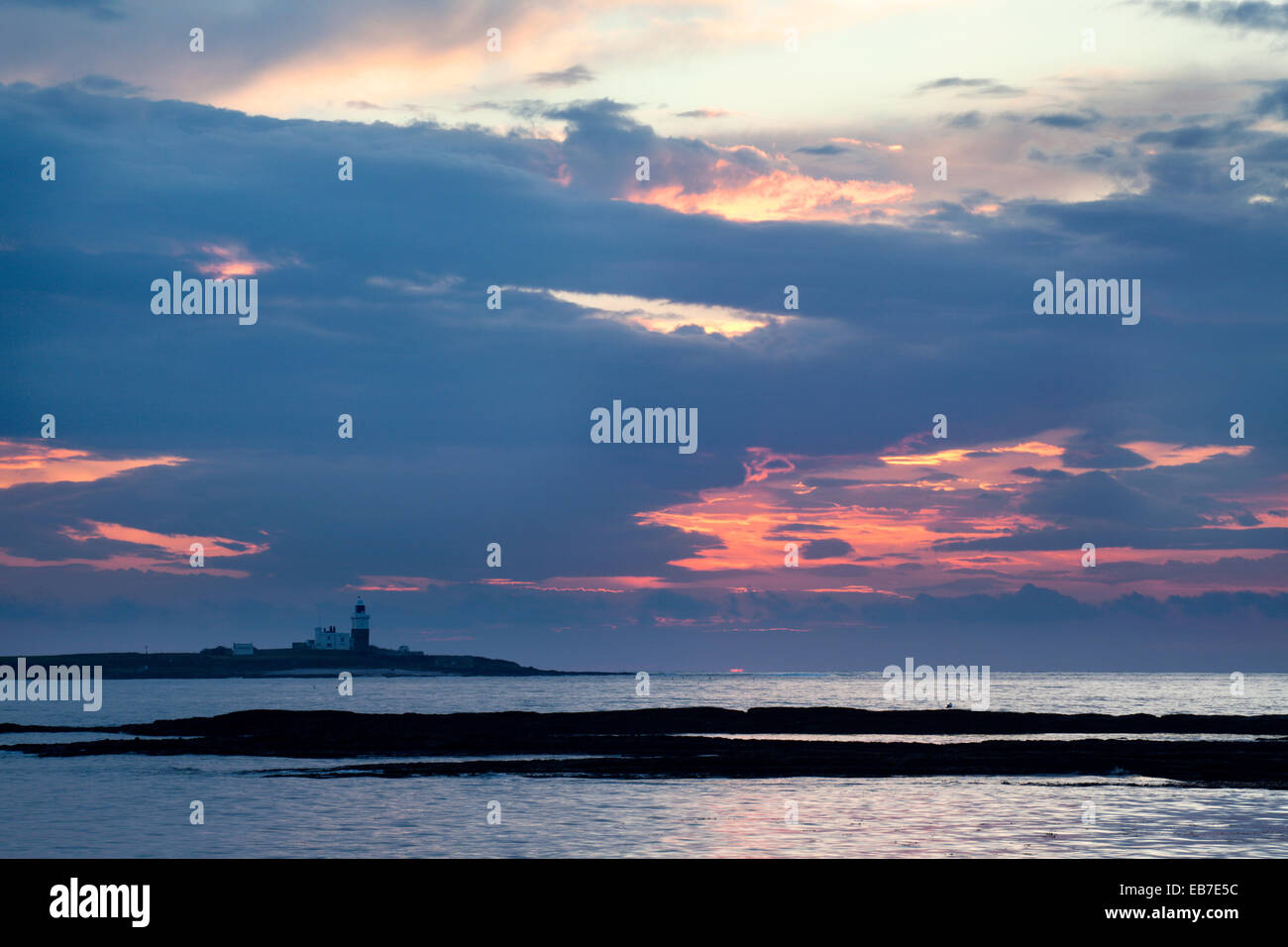Coquet Island bei Morgengrauen schlendern durch die Northumberland Küste England Stockfoto