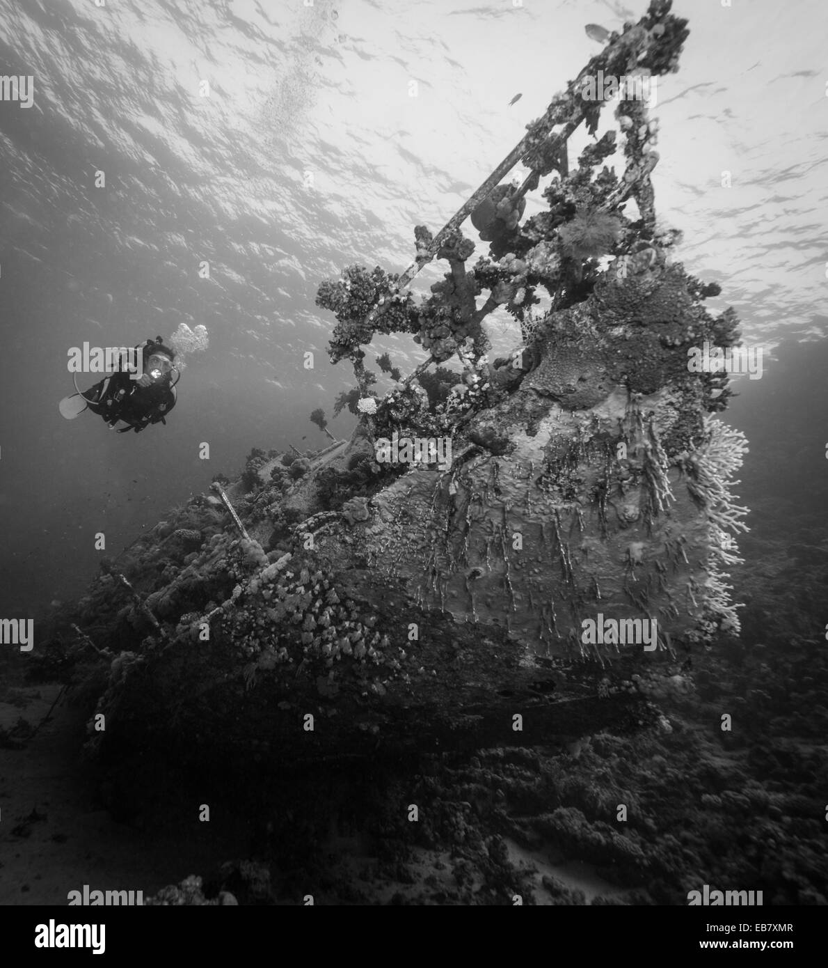 Taucher untersucht Wrack Yacht im Roten Meer, Ägypten Stockfoto