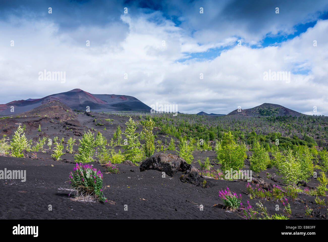Kamtschatka - Tolbatschik Vulcano - August 2014 Stockfoto