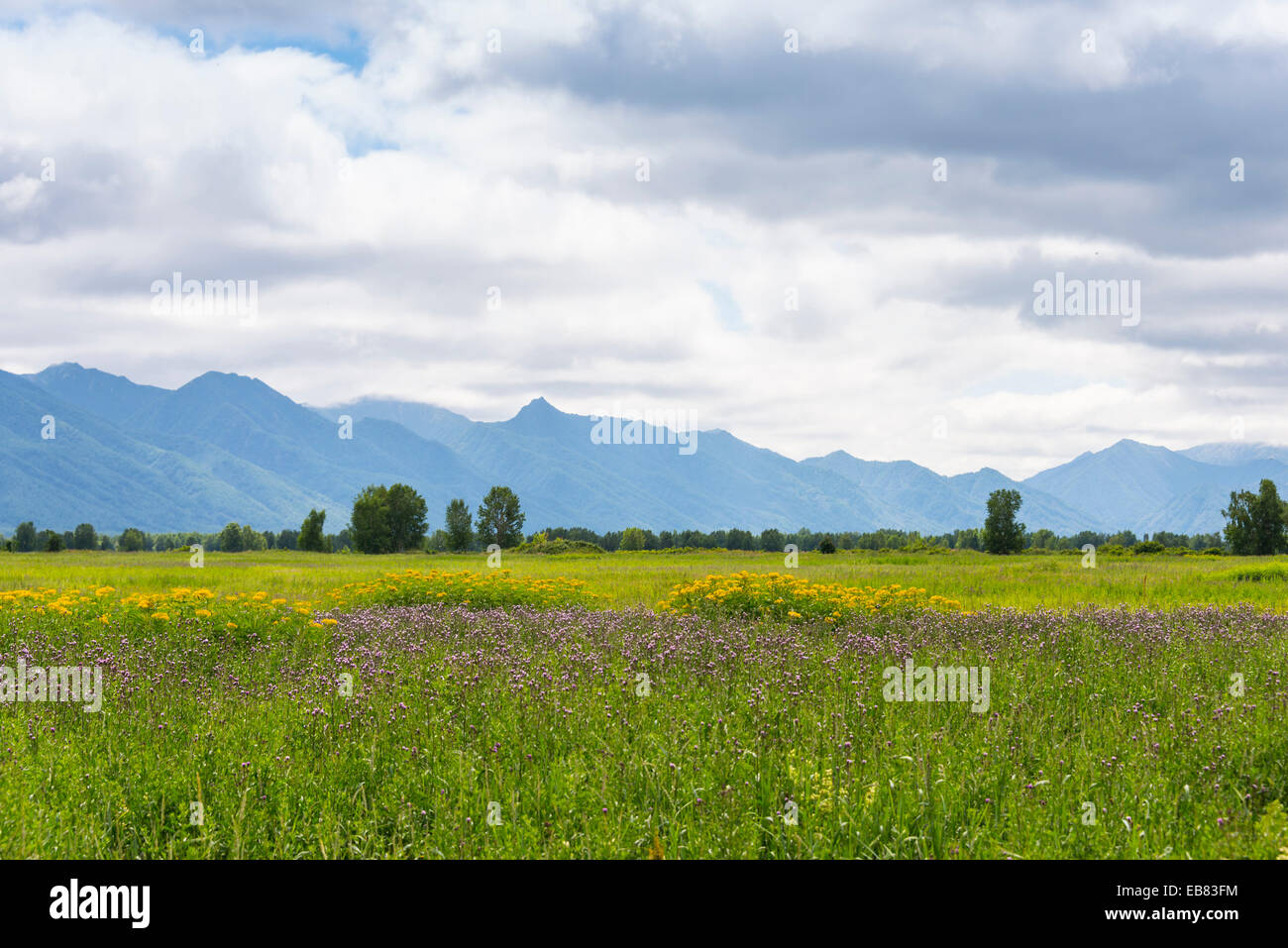 Kamtschatka - Milkov - Landschaft Stockfoto