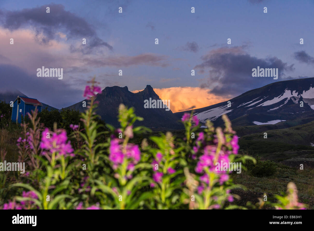 Kamtschatka - Awatschinskaja Sopka Awacha Vulcano - Basislager - Landschaft Stockfoto
