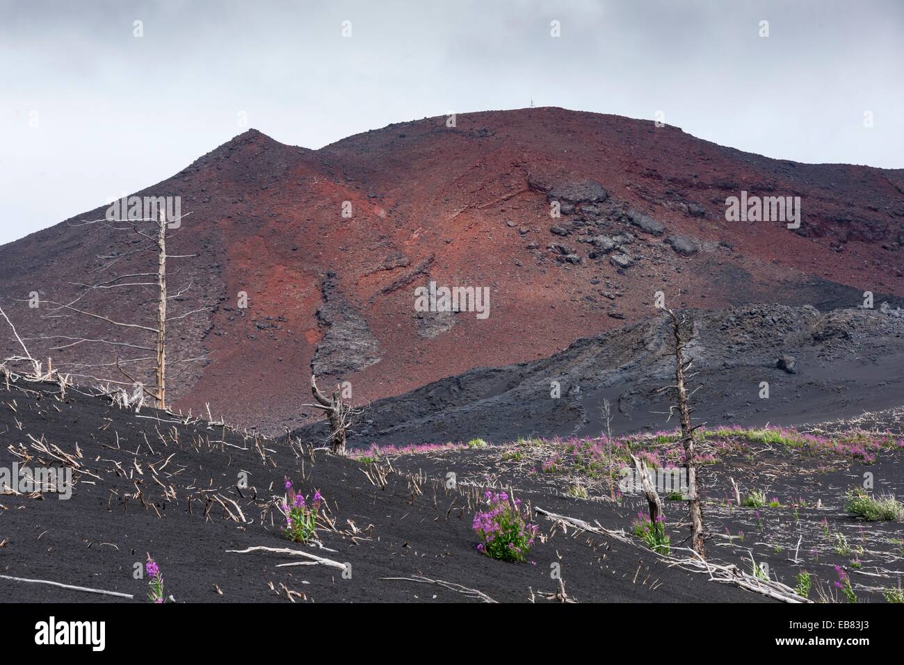 Kamtschatka - Tolbatschik Vulcano - August 2014 Stockfoto