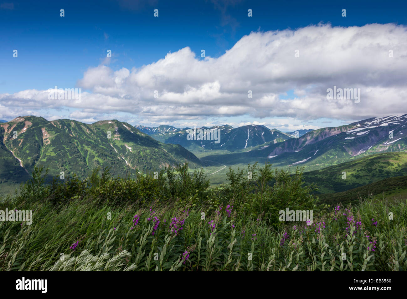 Kamtschatka - Viluchinsky Pass - August 2014 Stockfoto