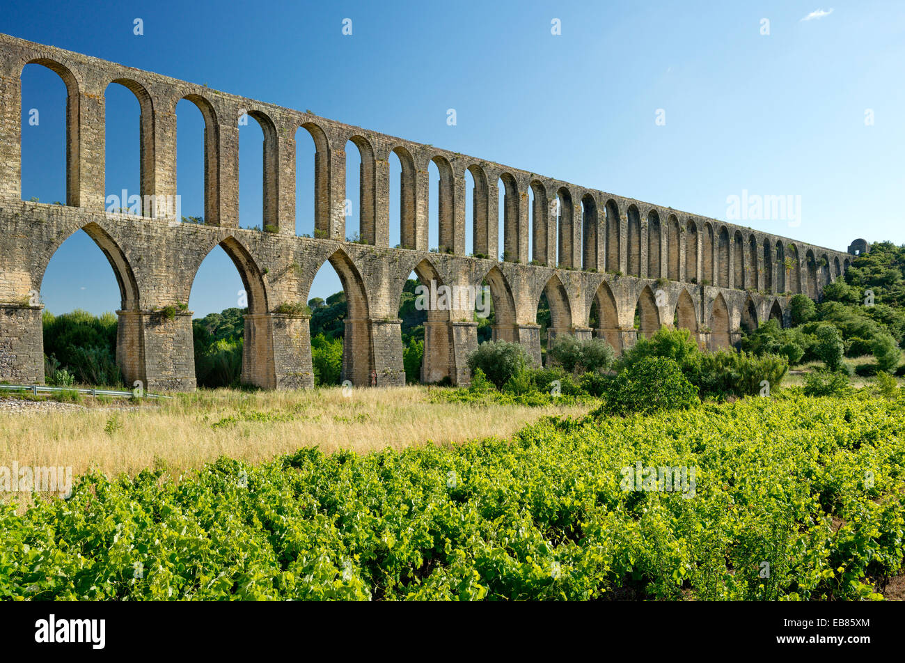 Aquädukt in Tomar, Ribatejo, Zentral-Portugal, über Weinberge gesehen Stockfoto