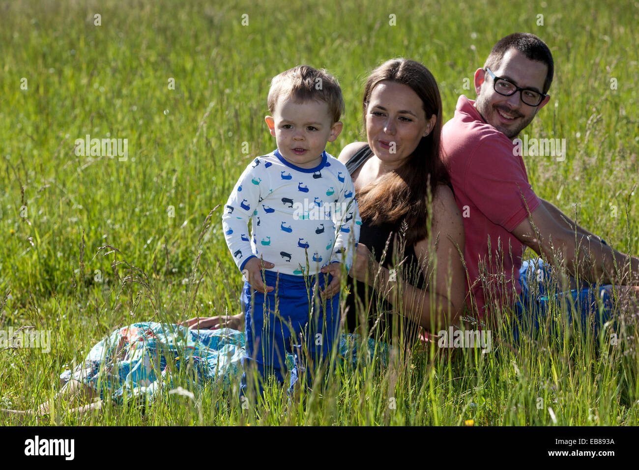 Eine glückliche Familie, eine schwangere Frau mit ihrem Mann und kleiner Junge Zeit miteinander verbringen und spielen in einer Sommerwiese Stockfoto