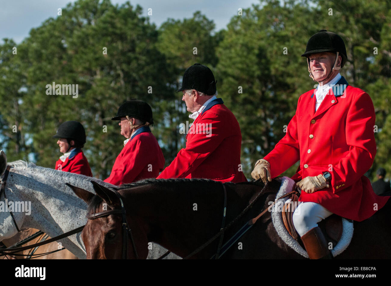 Southern Pines, North Carolina, USA. 27. November 2014. Gekleidet in roten Jagdjacken oder '' Pinks, '' Fahrer warten für den Start der 100. jährliche Segnung der Hunde bei Buchan Field. Veranstaltet von der Moore County Hounds Jagdverein, ist das Ereignis Thanksgiving-Tradition im Moore County. Fahrer erweisen sich in traditionellen formalen Jagd Kleidung für eine der ältesten Jagden in der Nation. Penn-MaryDel Hunde sind ein privat geführtes Pack stammt aus 1914. © Timothy L. Hale/ZUMA Draht/ZUMAPRESS. Bildnachweis: ZUMA Press, Inc./Alamy Live-Nachrichten Stockfoto