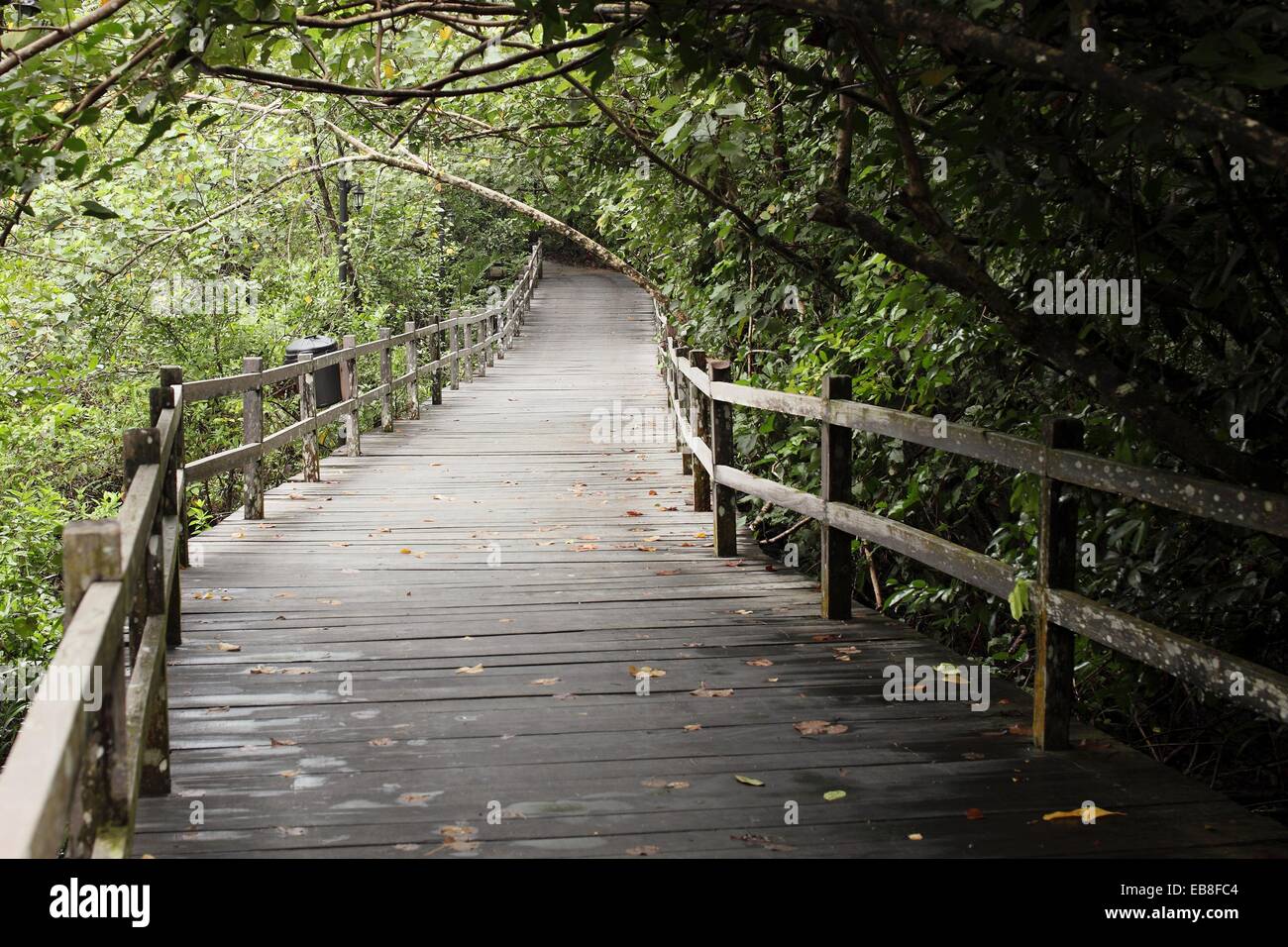 Holzsteg Über Einem Teich Stockfotos und bilder Kaufen Alamy