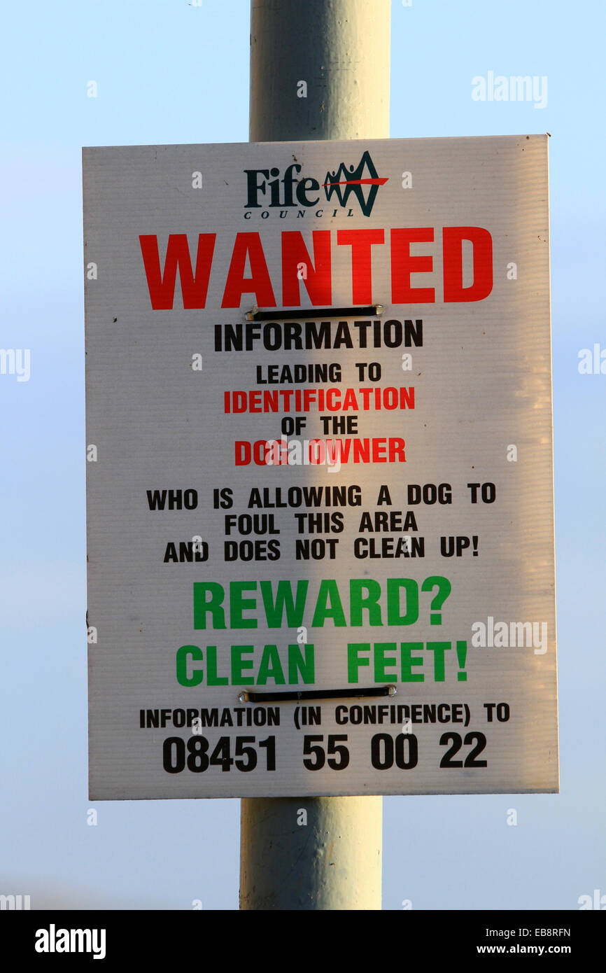 Hund Fouling, zutiefst unangenehm, gefährlich, Kontakt mit Hundekot, Toxokariasis verursachen, 8 Millionen Hunde, offensiv, Hundewächter, Strafmitteilung, Poo. Stockfoto